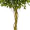 6ft. UV Resistant Ficus Artificial Topiary Tree